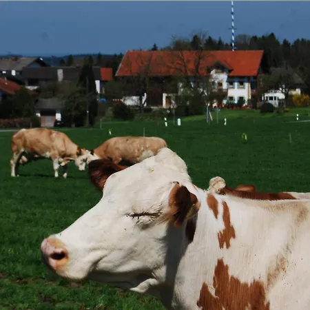 Auf'm Reifnhof Riedering