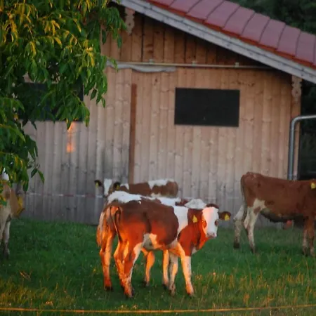 Auf'm Reifnhof Alojamento de Turismo Rural *