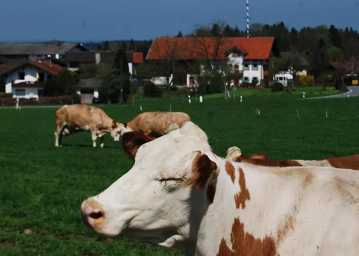 Auf'm Reifnhof Riedering