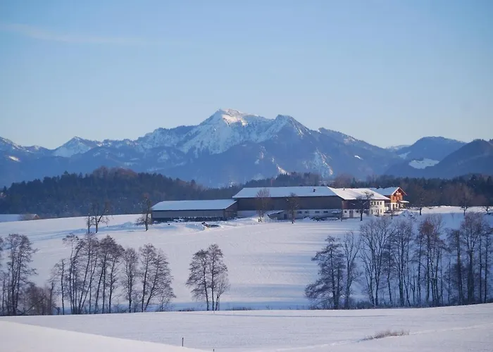 Farma Auf'm Reifnhof *
