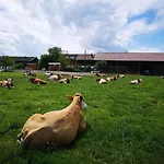 Auf'm Reifnhof Séjour à la ferme Riedering