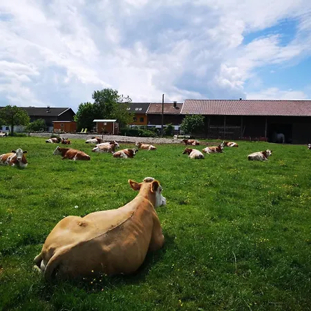 Auf'm Reifnhof Lantgård Riedering