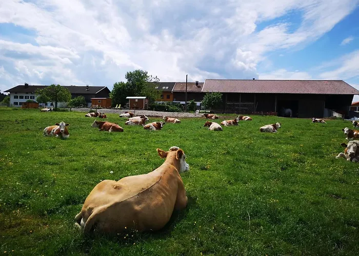 Auf'm Reifnhof Alloggio per agriturismo Riedering